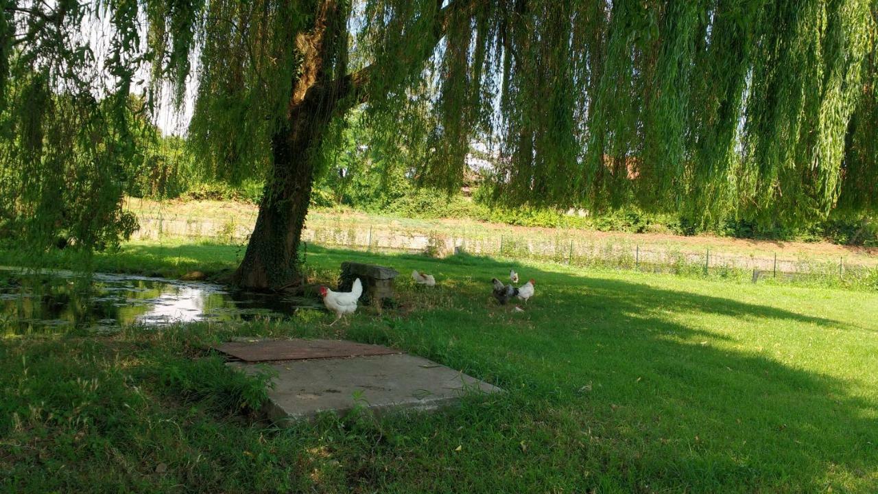 Agriturismo Cascina Poscallone Abbiategrasso Kültér fotó